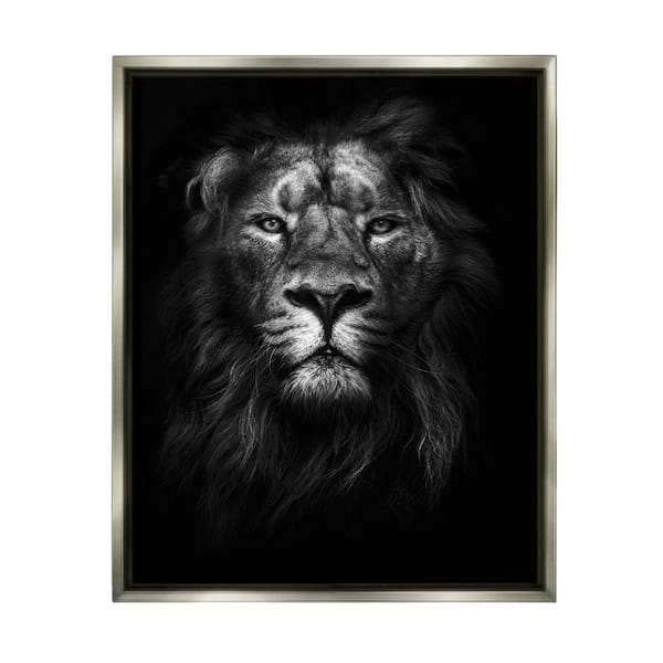 The Stupell Home Decor Collection King of the Jungle Lion In Shadows Photography by Design Fabrikken Floater Frame Animal Wall Art Print 21 in. x 17 in.