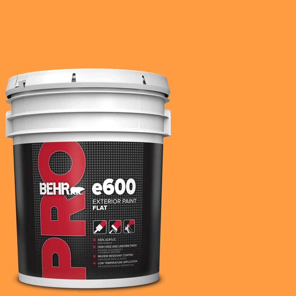5 gal. #P240-6 Exotic Blossom Flat Exterior Paint price history on PriceWatchPro