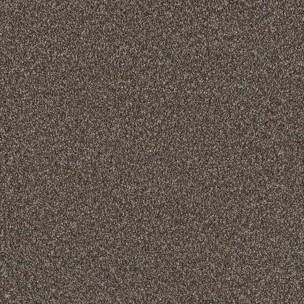 Meringue II-Whipped Brown-54 oz. SD Polyester Texture Carpet - Installation Required
