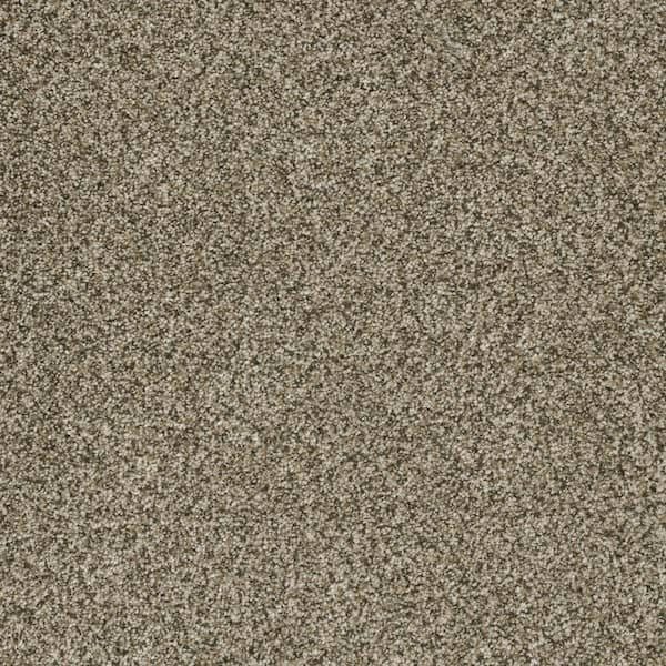 Home Decorators Collection Trendy Threads Plus I - Rancho - Beige 40 oz. SD Polyester Texture Installed Carpet
