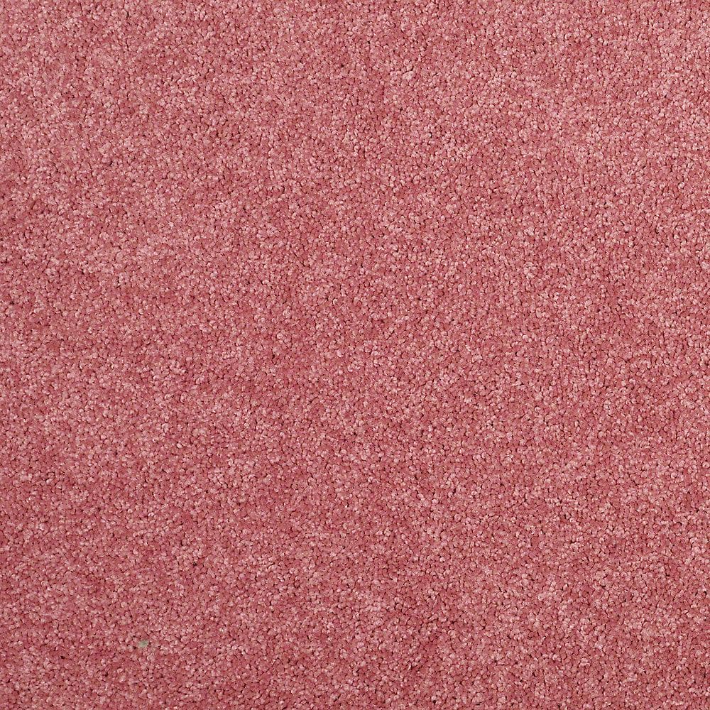 8 in. x 8 in. Texture Carpet Sample - Watercolors I - Color Ballerina price history on PriceWatchPro