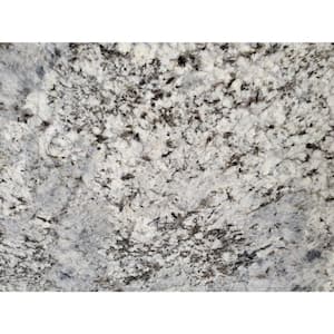 3 in. x 3 in. Granite Countertop Sample in Rigel White