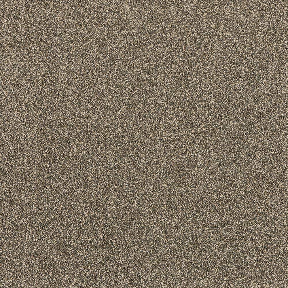 8 in. x 8 in. Texture Carpet Sample - Tailored Trends III -Color Midnight price history on PriceWatchPro