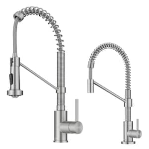 Bolden Single Handle Pull Down Sprayer Kitchen Faucet and Water Filter Faucet Combo in Spot-Free Stainless Steel