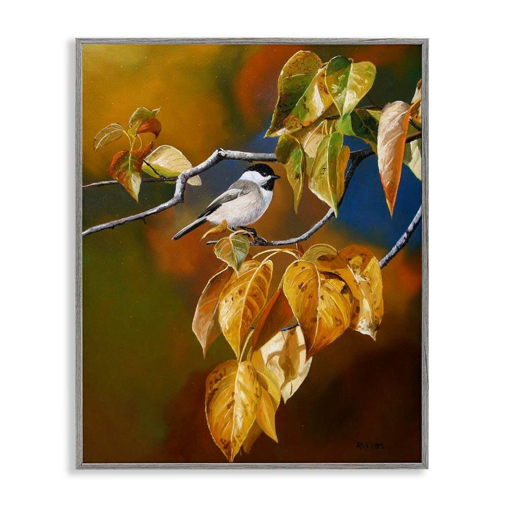 Bird Perched in Nature by Andrew Kiss Gray Framed Graphic Animal Art Print 24 in. x 30 in. price history on PriceWatchPro