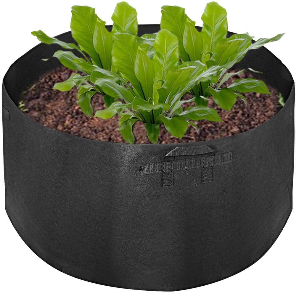 Dicasser Fabric Plant Container Garden Flower Planter Aeration Vegetable  Potato Fruits Grow Bag Pot with Handles 
