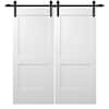 primed-mmi-door-barn-doors-z0364561-64.0