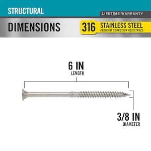 3/8 in. x 6 in. Star Drive Wafer Head Structural 316 Stainless Steel Screw