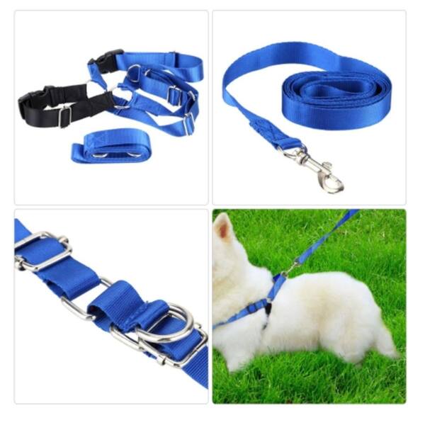 pets at home long dog lead