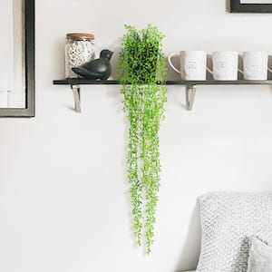 40 in. Donkey Tail String of Pearls Artificial Succulent Hanging Stem Plant Greenery Pick Spray Branch (Set of 2)