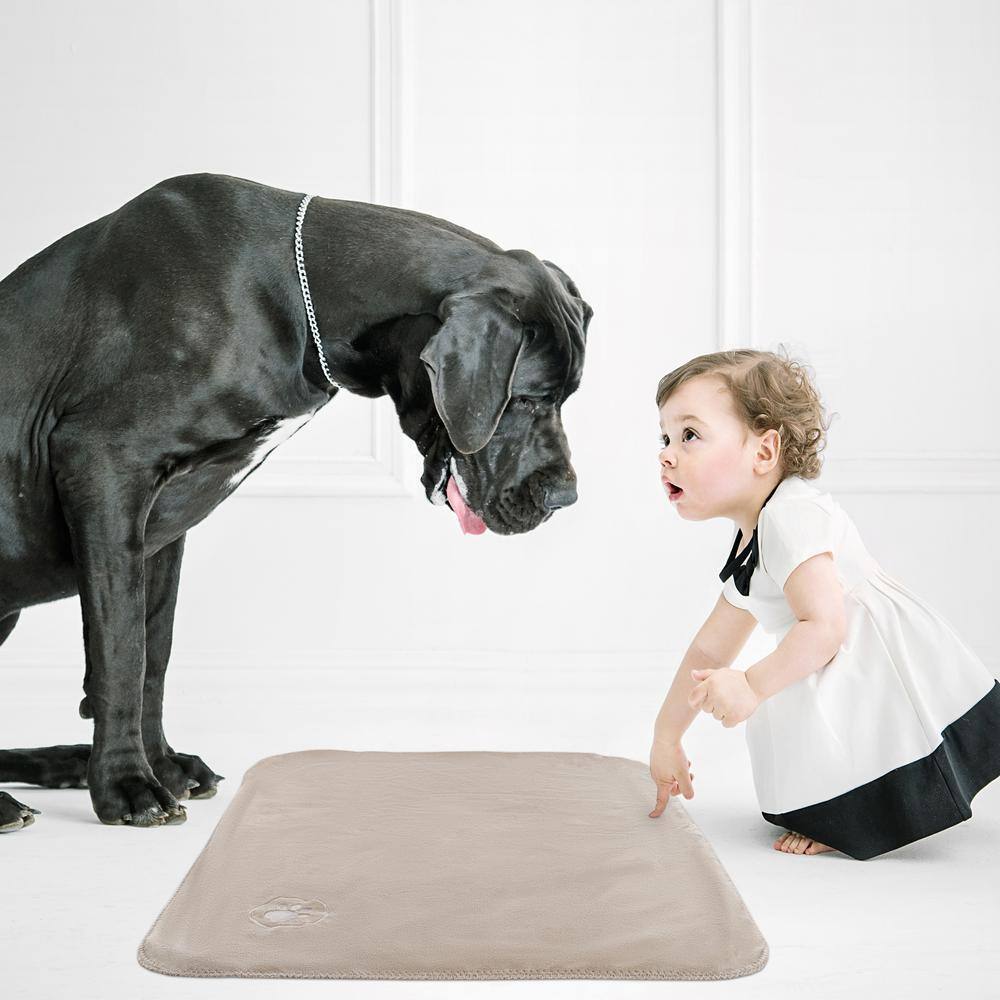 Tan Reversible Sherpa Fleece Waterproof Dog Blanket 30x40 Inch