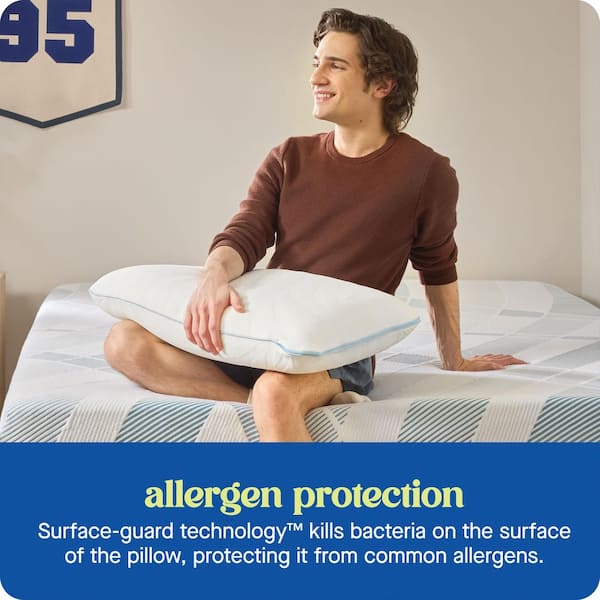 Sealy Dreamlife Memory Foam Standard Pillow F01-00845-ST0 - The Sealy Dreamlife Memory Foam Standard Pillow F01-00845-ST0 - The