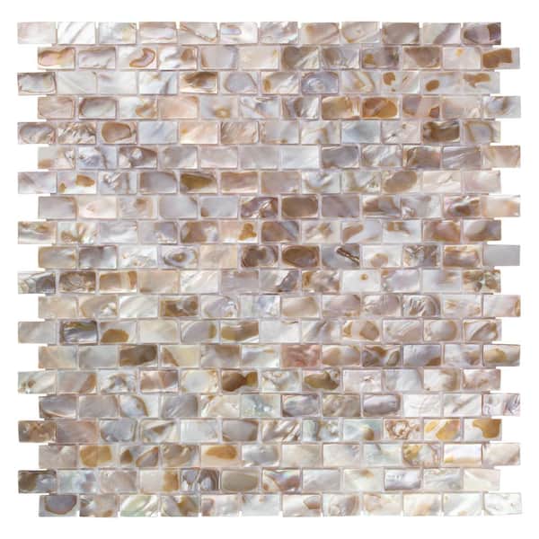 Merola Tile Conchella Subway Natural 6 in. x 6 in. Natural Shell Mosaic Take Home Tile Sample