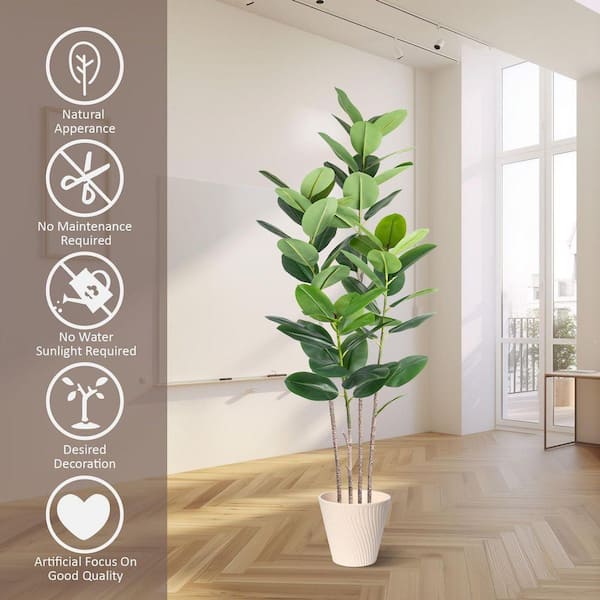 global green pothos Global Green Pothos Care