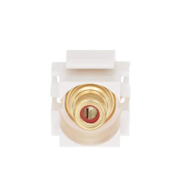 Commercial Electric RCA Gold Plated Jack - White 5103-WH-BK/RD - The Home  Depot