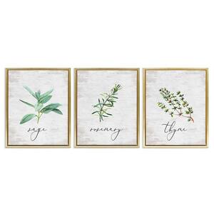 Charm Summer Kitchen Herbs by Lettered and Lined 3 Piece Gold Floater Frame Typography Graphic Art Print 21 in. x 17 in.