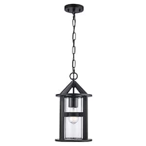 Prado 15.875 in. 1-Light Black Outdoor Pendant Light Fixture with Clear Seeded Glass