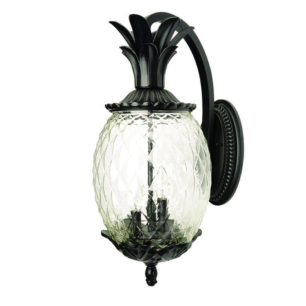 21.75 in. Black Outdoor Hardwired Sconce with No Bulbs Included price history on PriceWatchPro