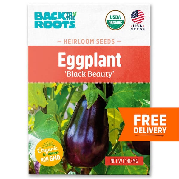 Back to the Roots Organic Black Beauty Eggplant Seed (1-Pack)