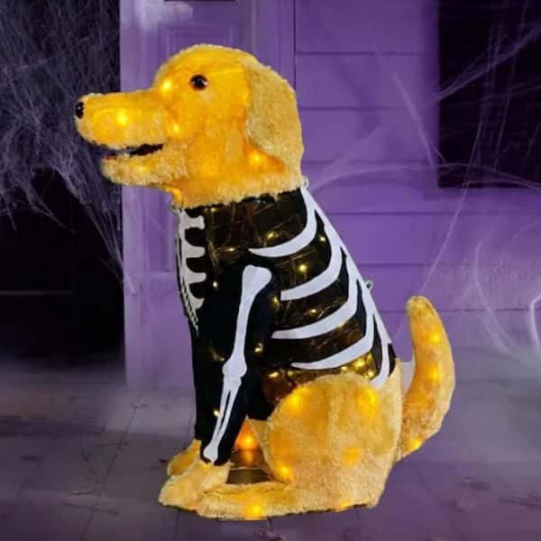 2.5 FT LED Halloween Classics LED Golden Retriever in Skeleton Costume Y3