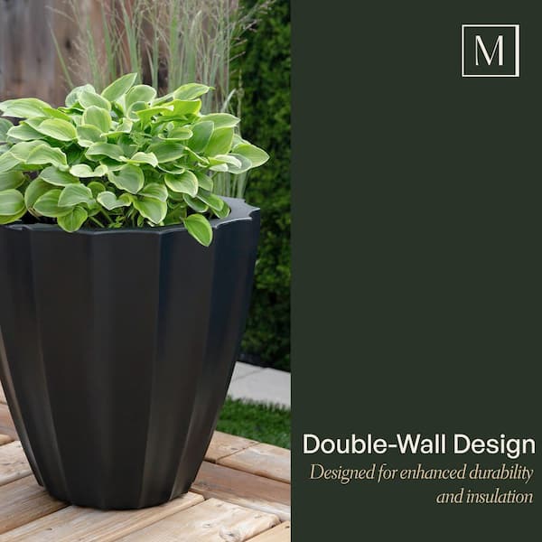 money tree grow Money Tree Plant with Planter - Small (12