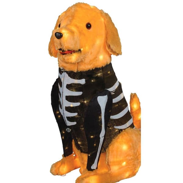 2.5 FT LED Halloween Classics LED Golden Retriever in Skeleton Costume Y3