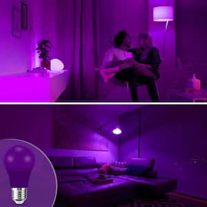 60-Watt Equivalent 9-Watt A19 E26 Base Non-Dimmable Purple LED Colored Light Bulb 9000K(12-Pack)