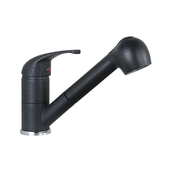 ALEASHA Single Handle Pull Out Sprayer Kitchen Faucet Deckplate Included in Metallic Black