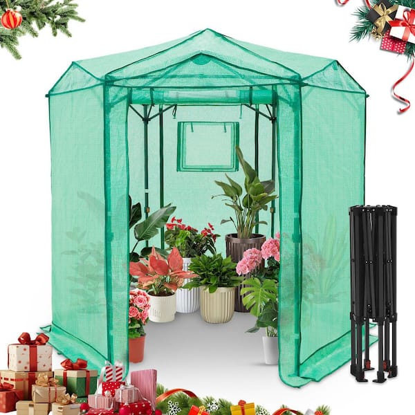 6.6 x 6.6 ft. All-Weather Hexagon Portable Walk-in Pop up Greenhouse, Green