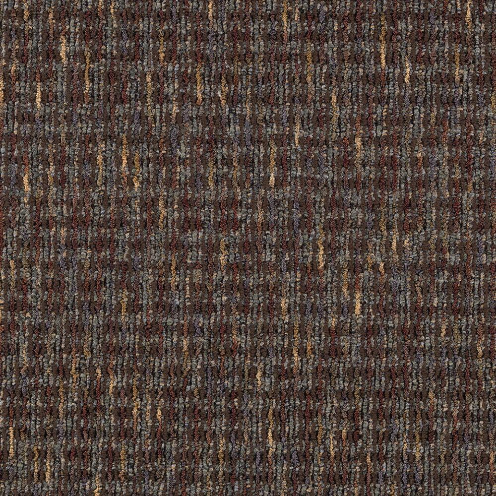 8 in. x 8 in. Loop Carpet Sample - Social Network III -Color Coffee Bean price history on PriceWatchPro