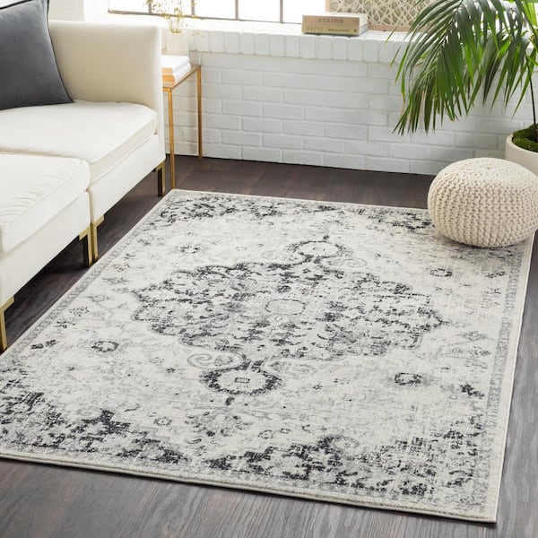 Demeter Light Gray/Charcoal 3 ft. 11 in. x 5 ft. 7 in. Oriental Area Rug