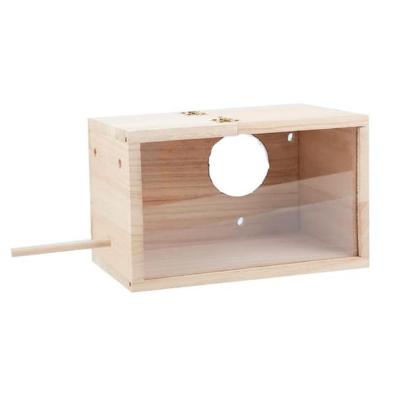 Transparent Wood Birdhouse Nesting Box with Thwartwise Design and Perch for Cockatiel Lovebirds and Pet Birds (1-Pack)