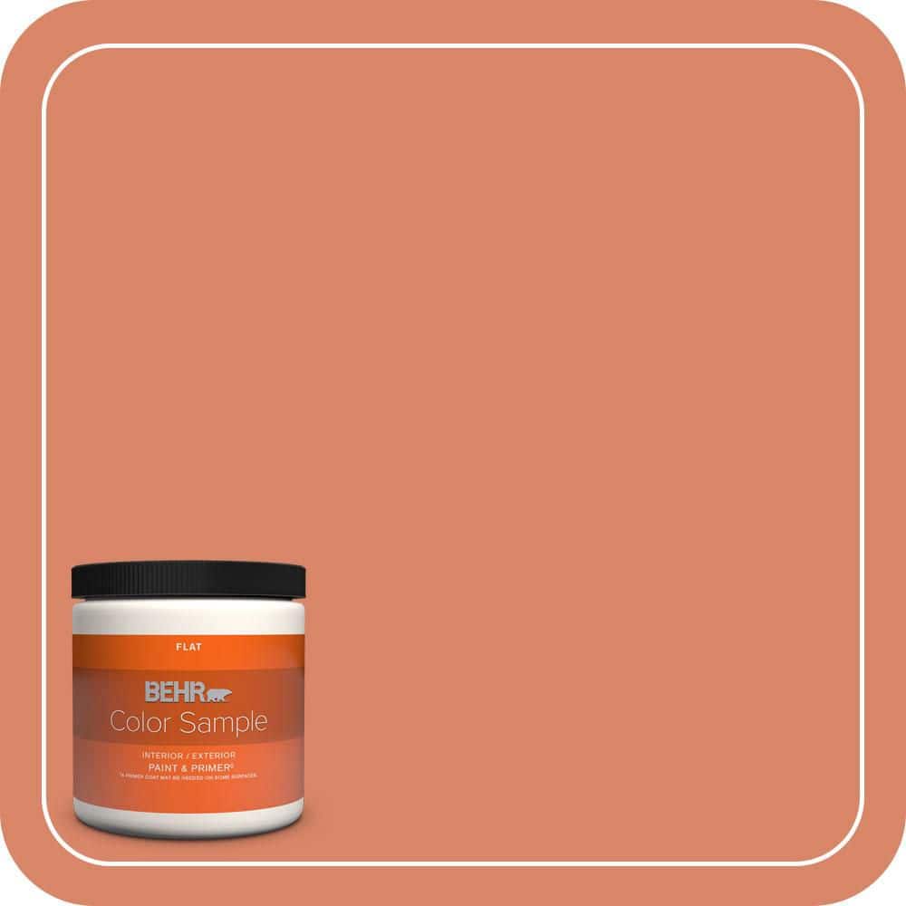 8 oz. #M180-5 King Salmon Flat Interior/Exterior Paint & Primer Color Sample price history on PriceWatchPro