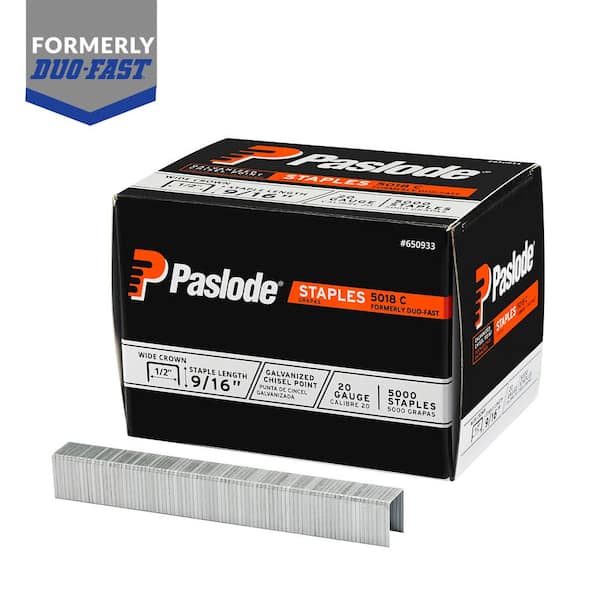 Paslode 5018C 1/2 in. W Crown 9/16 in. 20-Gauge Leg Galvanized Steel Staple (5000-Pack Per Box)