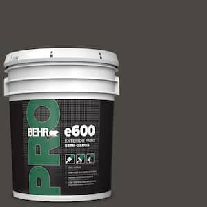 5 gal. #T16-01 Black Pearl Semi-Gloss Exterior Paint