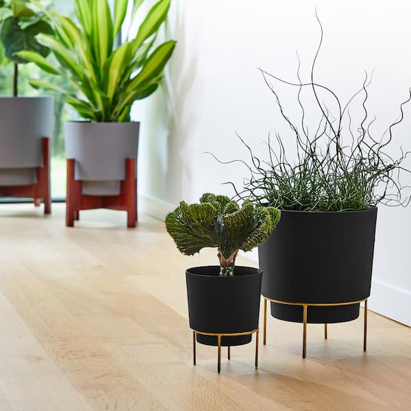 Hopson Small 6 in. Black Plastic Planter with Metal Gold Stand