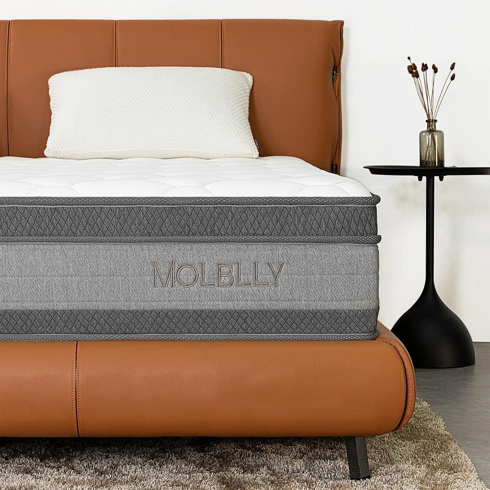 Molblly Series Queen Medium Firm Innerspring Hybrid 12 in Bed in a Box