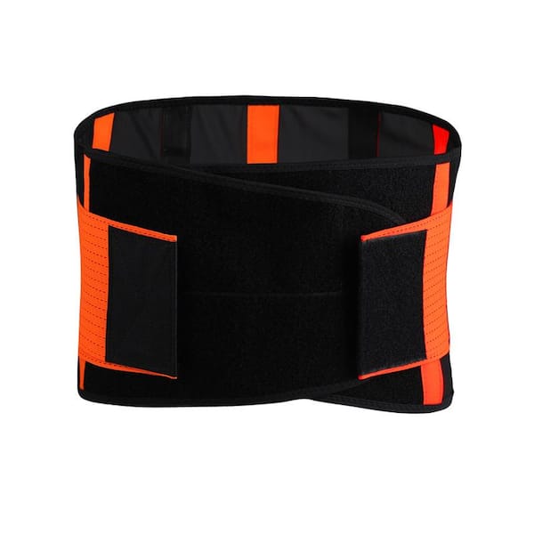 Healthcom Mens Waist Trimmer Belt Lightweight Sports Belt Lumbar Lower Back  Tranier Support Brace Belt(Black), Black, Medium:36Length*8Width price in  UAE,  UAE