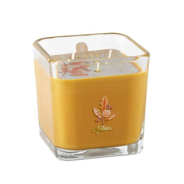 ROOT CANDLES 3 Wick Autumn Scented Jar Candle 653456 - The Home Depot