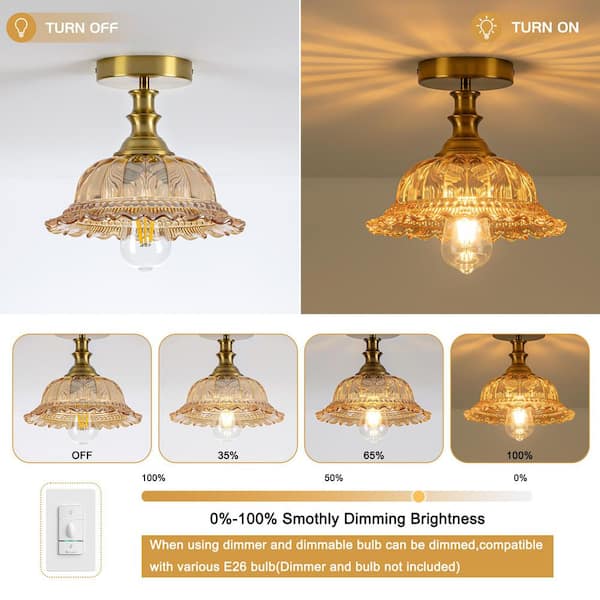 Merbotin BeamHaven 9.84 in. Brushed Vintage Amber Dome Semi-Flush