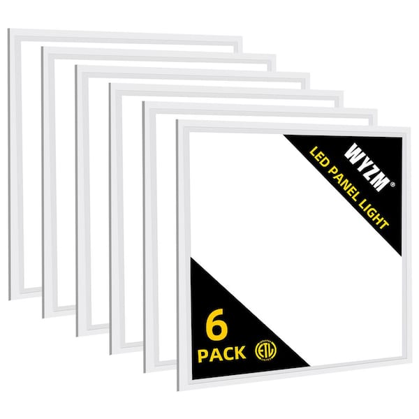 2 ft. x 2 ft. 5800 Lumens Integrated LED Panel Light, 5000K Bright White (6-Pack)