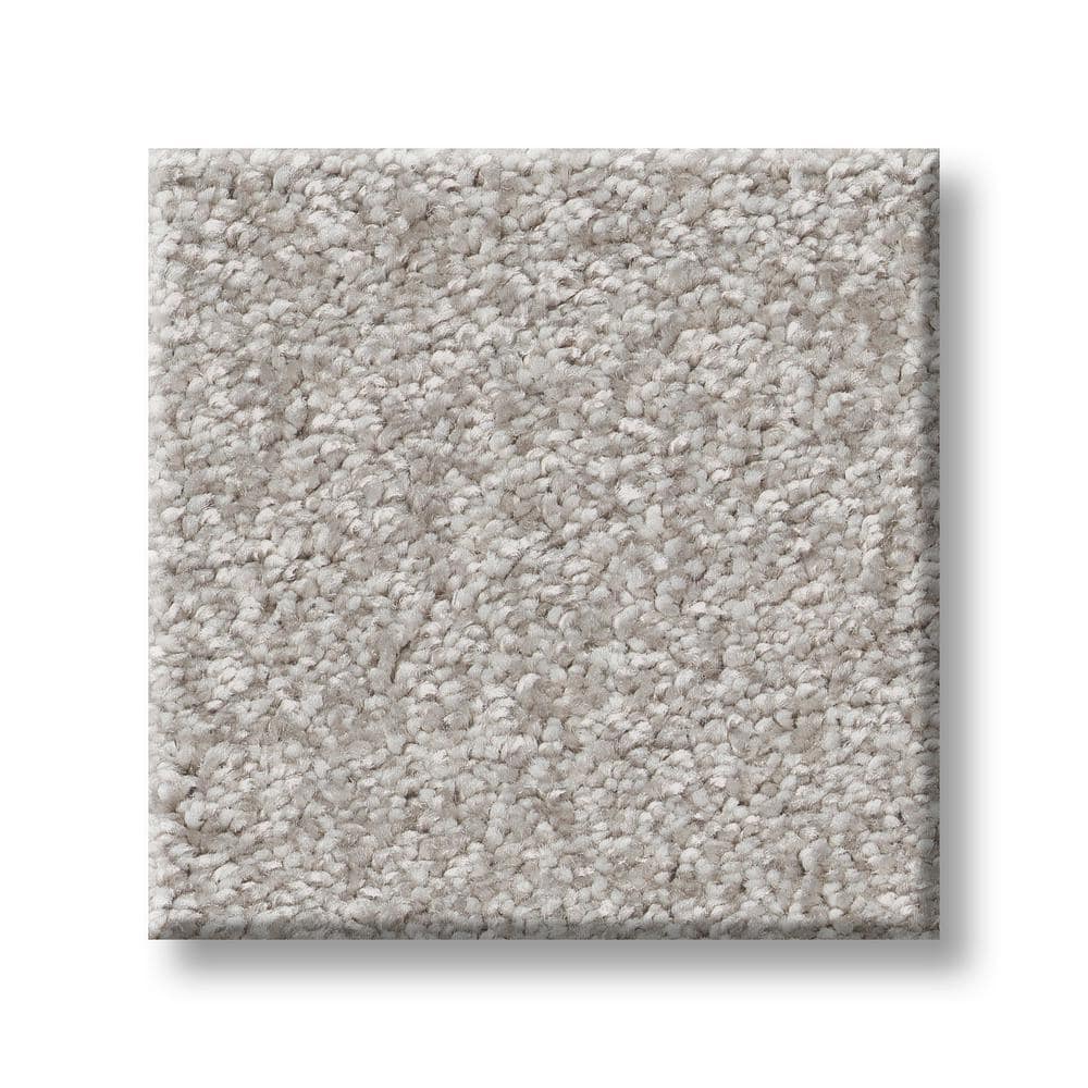 8 in. x 8 in. Texture Carpet Sample - Rosemary III -Color Ginseng price history on PriceWatchPro