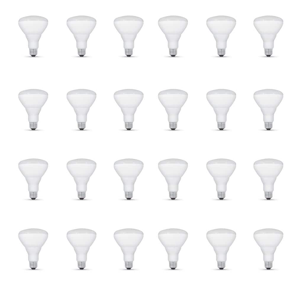 65-Watt Equivalent BR30 Dimmable CEC Compliant 90 CRI CEC Title 20 E26 Flood LED Light Bulb Bright White 3000K (24-Pack) price history on PriceWatchPro