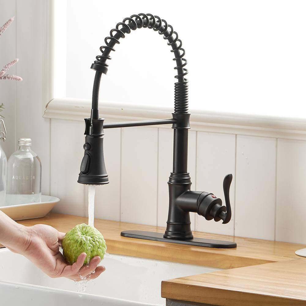Matte Black Pull-Down Kitchen Faucet with Pull-out Spray
