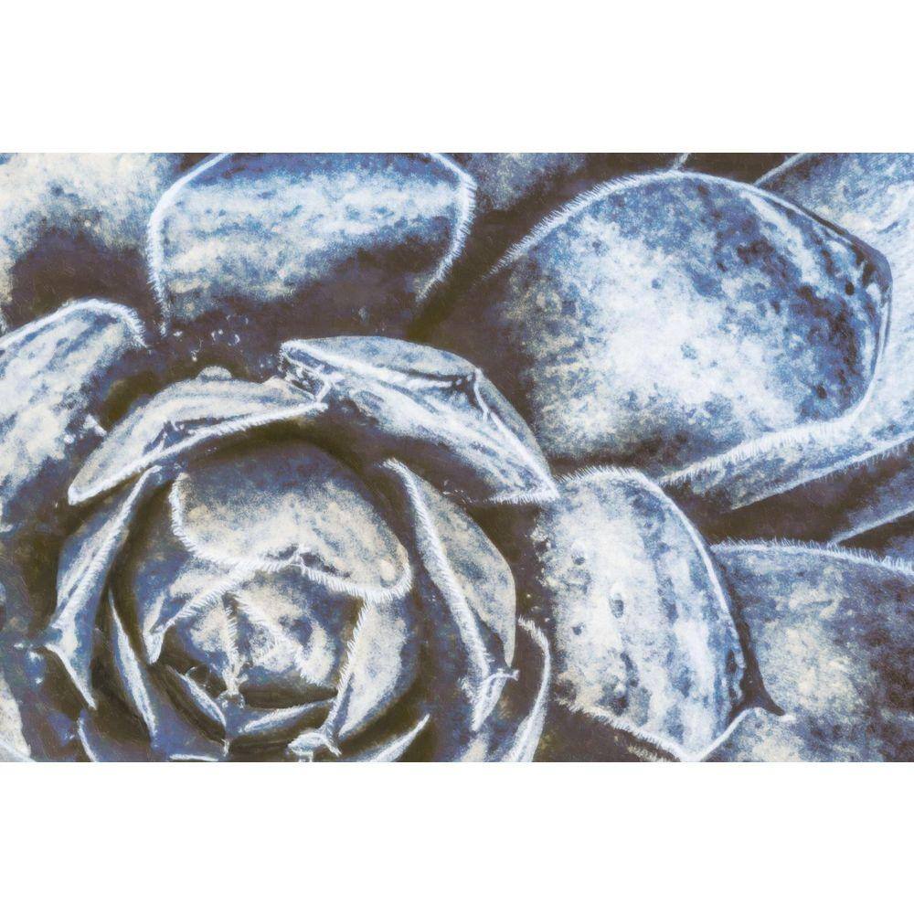 Blue Jean Sedum by Grotto Studios Unframed Graphic Print Poster Art Print 36 in. x 24 in. price history on PriceWatchPro