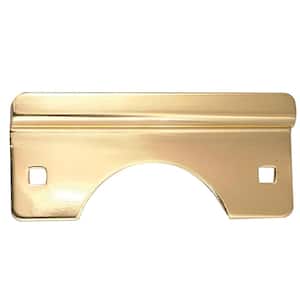 Polished Brass Latch Guard for Out-Swinging Doors