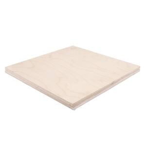 1/4 in. x 1 ft. x 1 ft. Birch Project Panel (4-Pack)