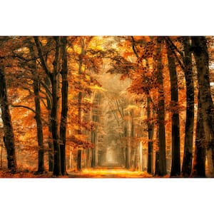 Falkirk Airdrie Abstract Autumn Forest Modern Wall Mural