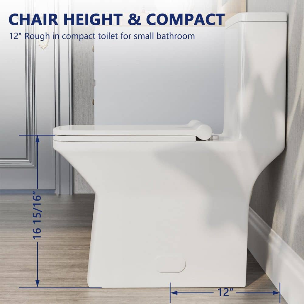 Ace White Ceramic Dual-Flush Elongated One-Piece Toilet