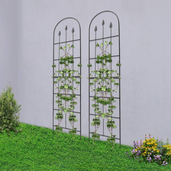 Garden Trellis - Decorative Metal Panel for Climbing Plants & Flowers Set of 2 - 52 & 57 in Black